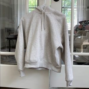 Everlane crop gray sweatshirt